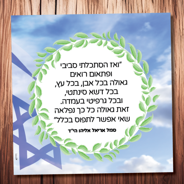 אריאל אליהו