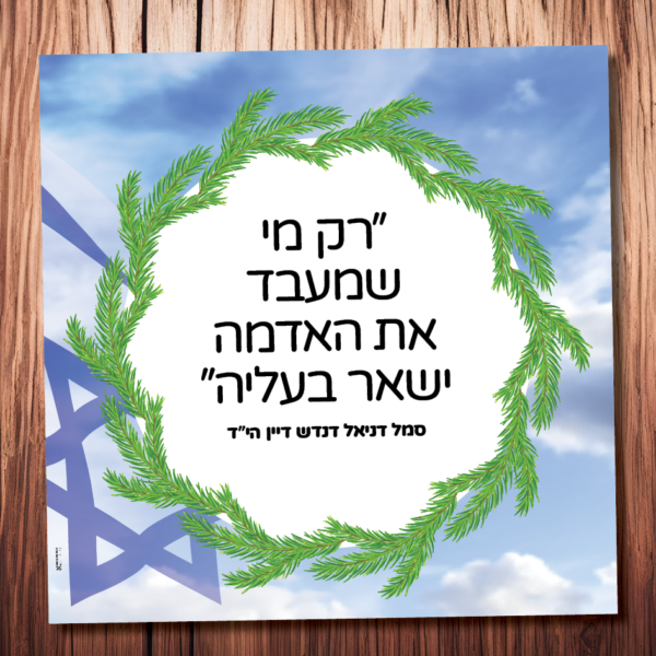 דניאל דנדש דיין